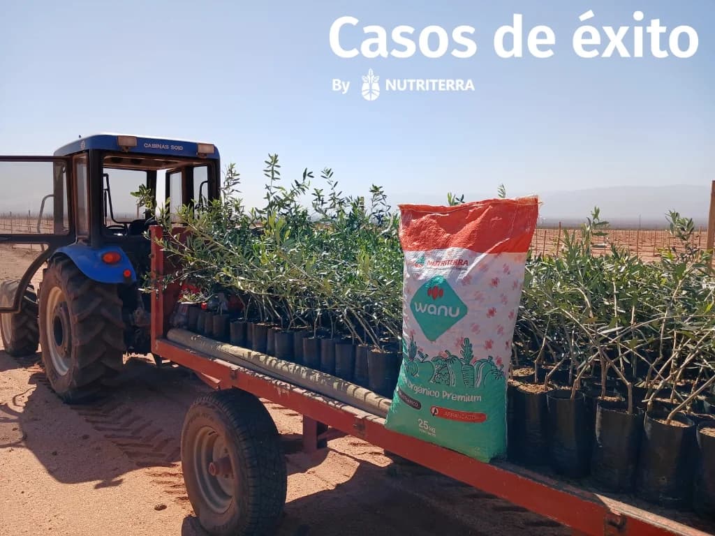 Casos de Éxito Nutriterra 2024/2025: San Juan / La Rioja / Catamarca