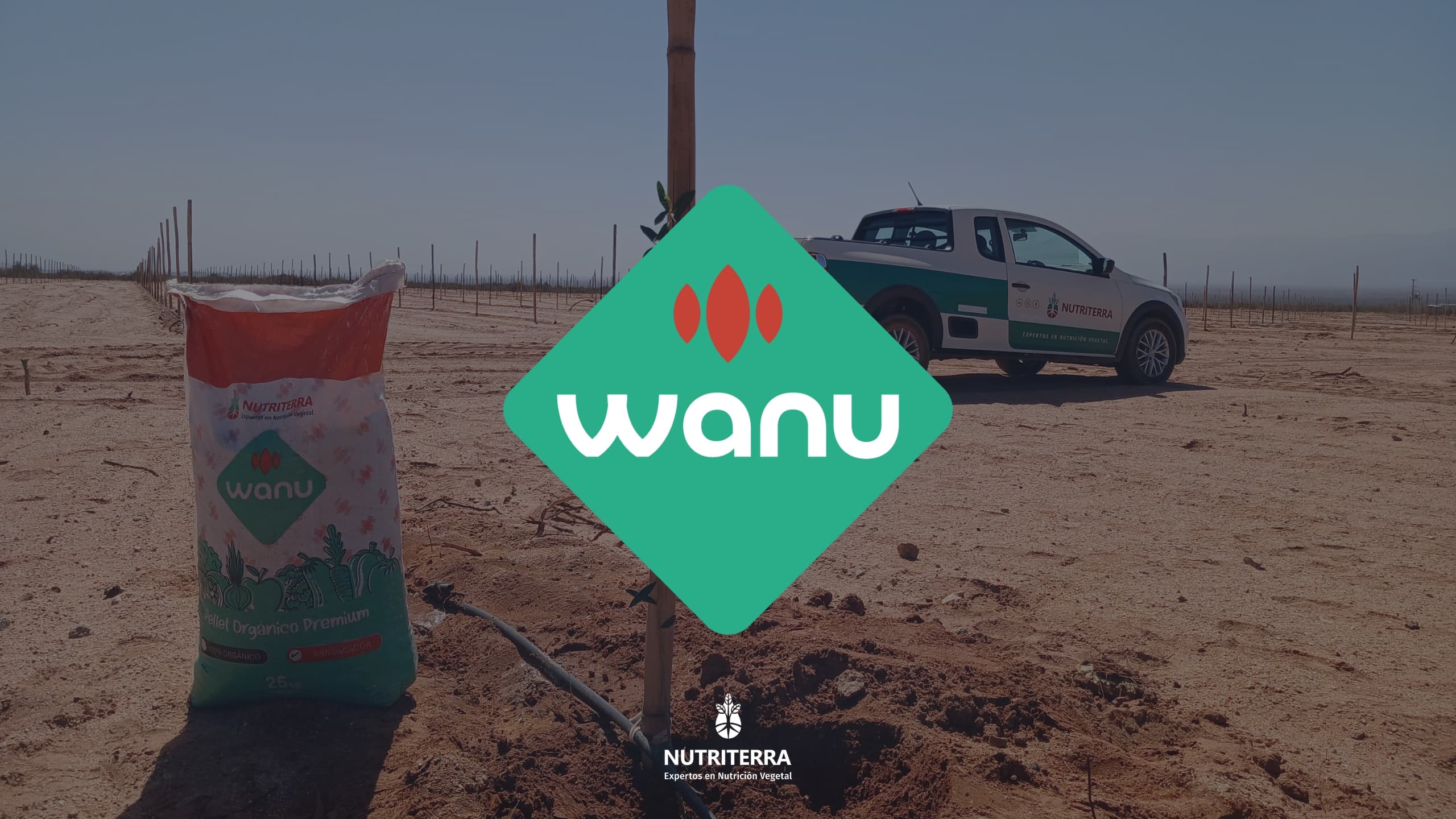 ¿Cómo se aplica y cómo actúa WANU en tu plantación?