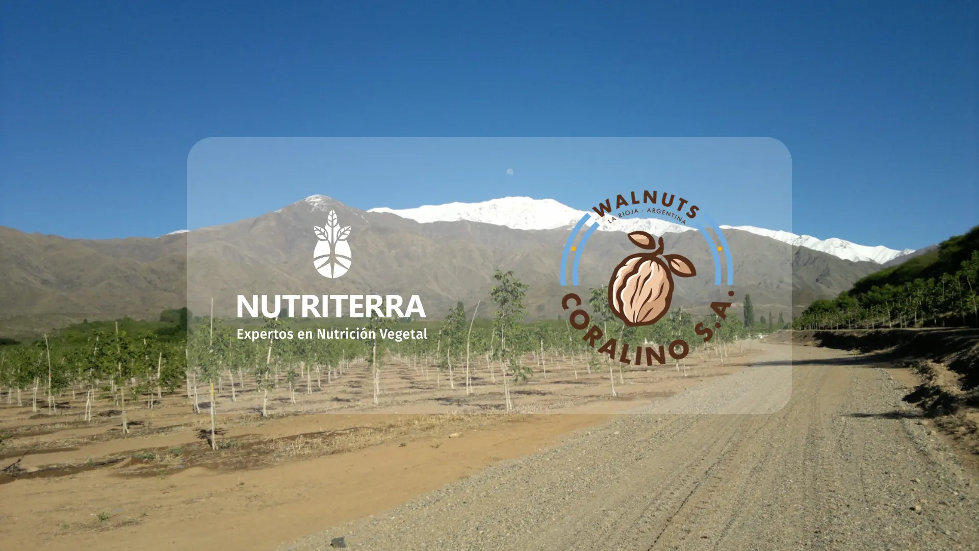 Nutriterra y Coralino SA : alianza estratégica en nutrición y  rendimiento del nogal