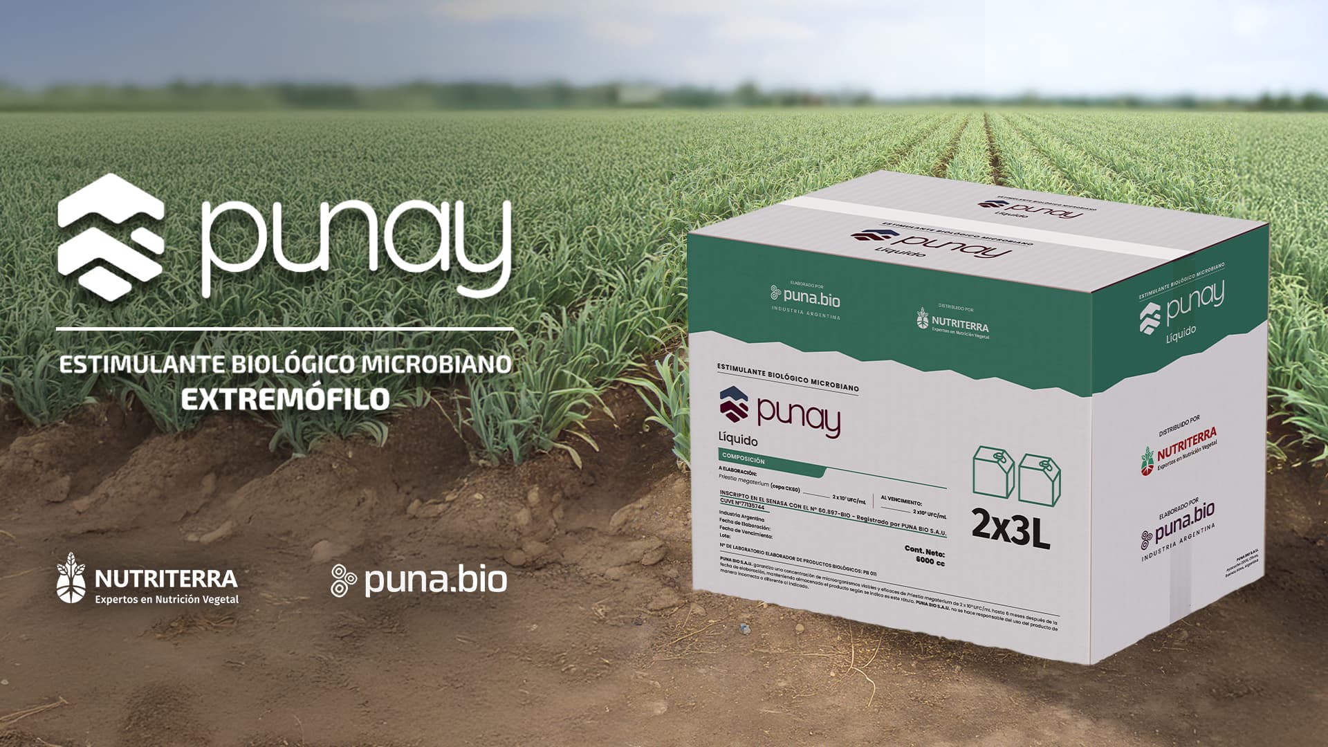 PUNAY: La revolución de la nutrición biológica basada en microorganismos extremófilos