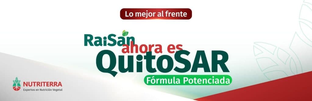 Quitosano: Un Aliado Natural para la Agricultura Sostenible