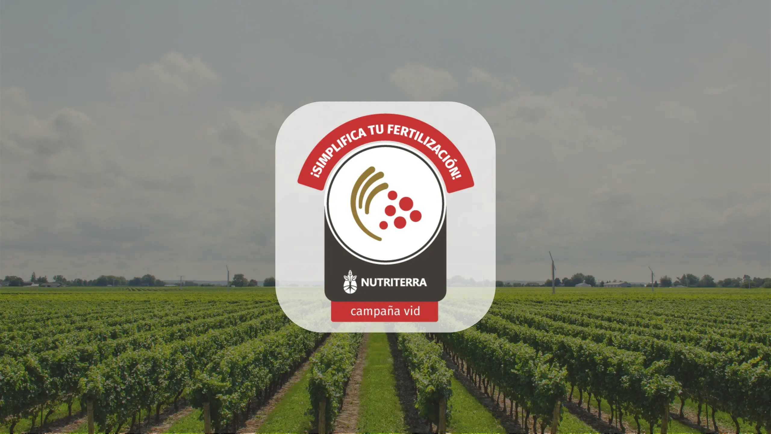 Vid en Mendoza y San Juan — Planes nutricionales para calidad enológica