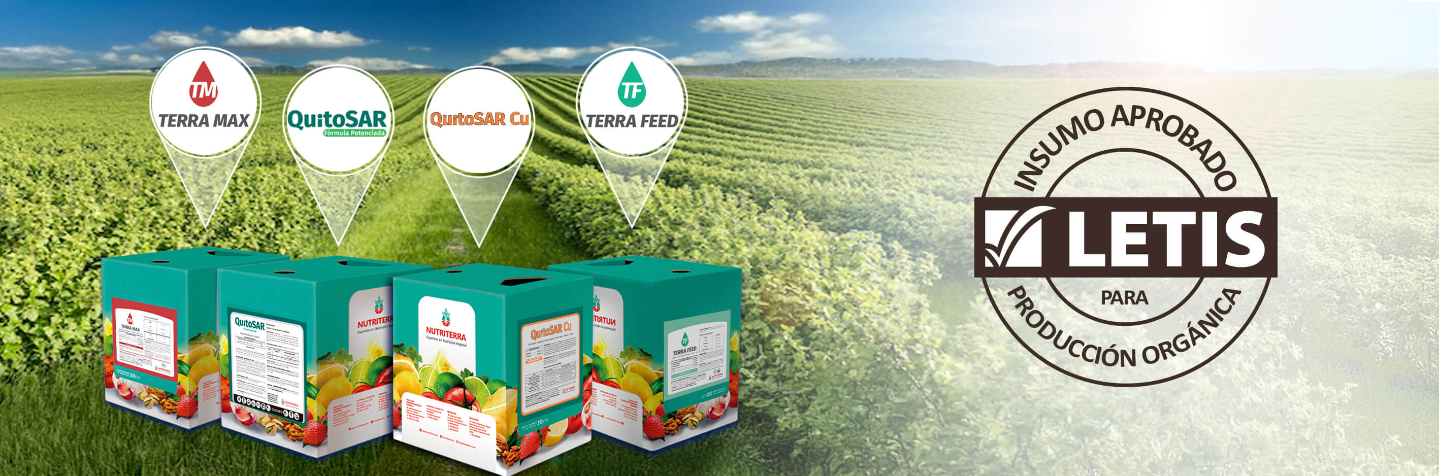 Productos certificados para producción orgánica: ¿Qué es LETIS y por qué es importante?