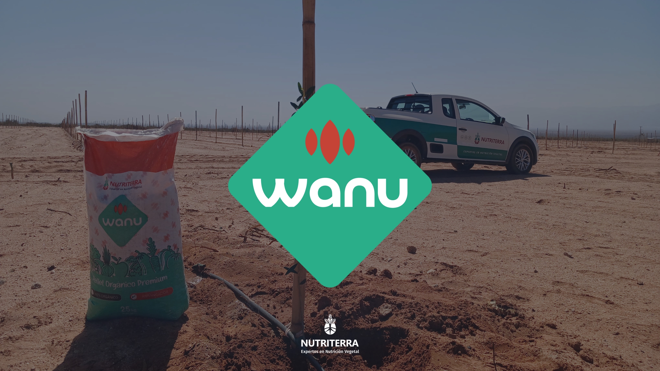 ¿Cómo se aplica y cómo actúa WANU en tu plantación?